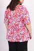 Picture of CURVY GIRL OPEN COLLAR DETAIL BLOUSE